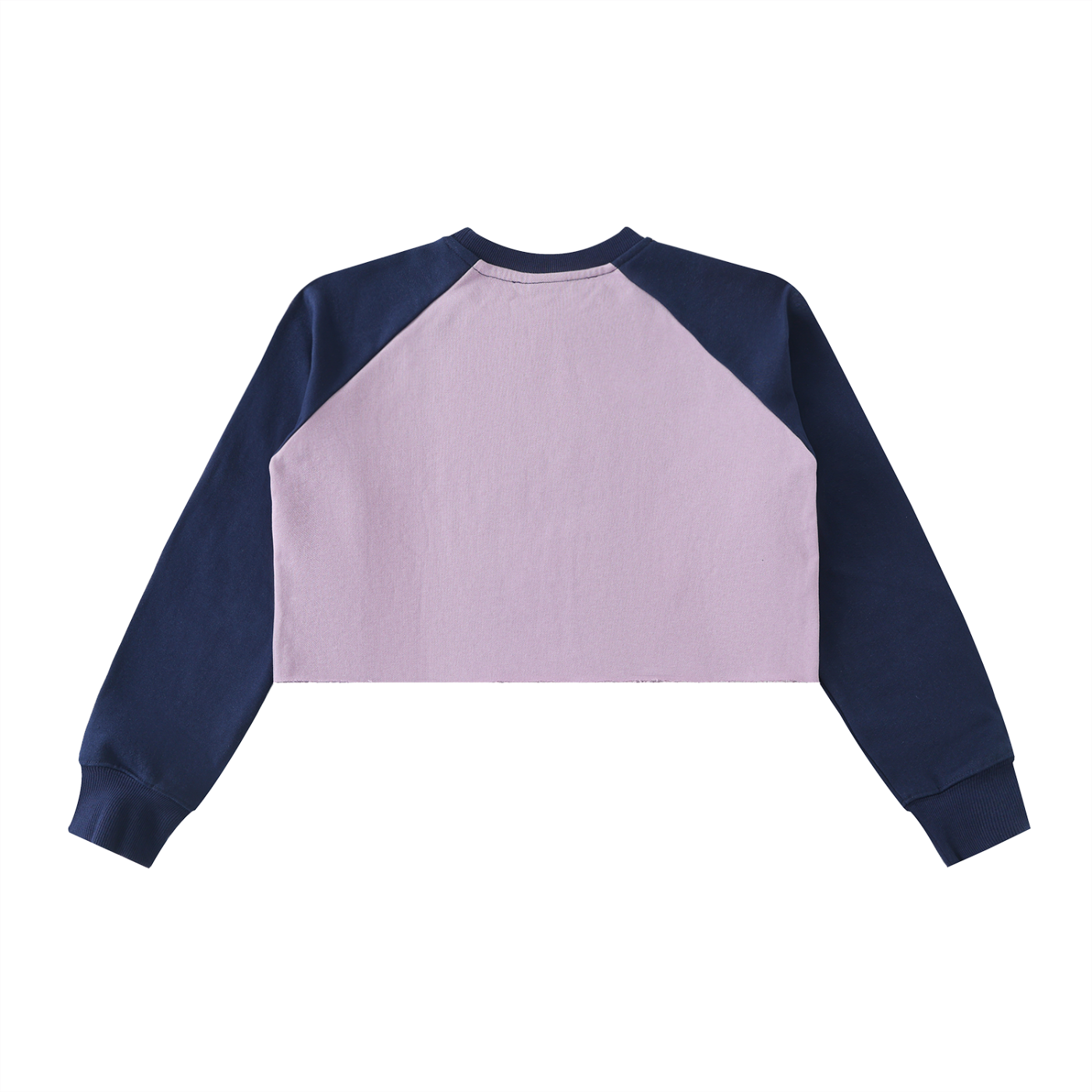 Broken halo Raw-Hem Color-Block Raglan Crop Sweatshirt