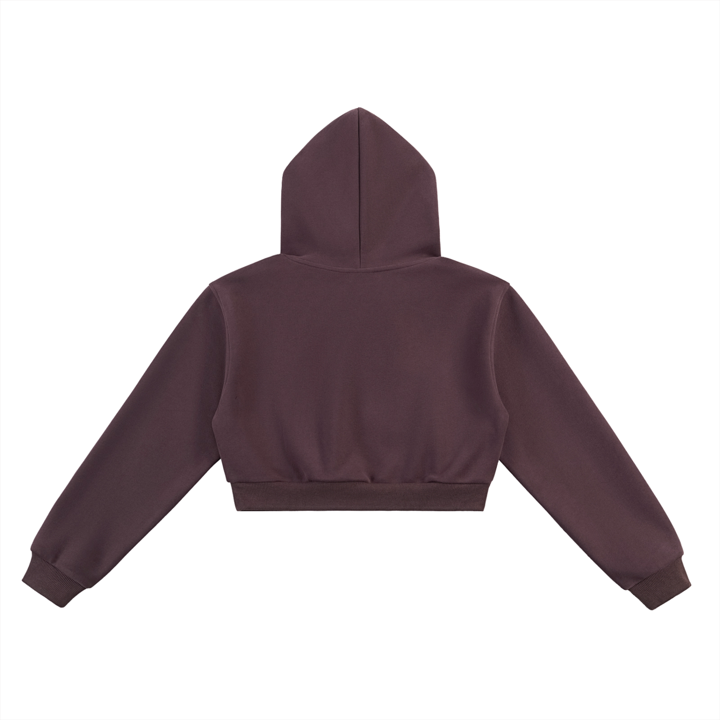 Broken halo Essential Cropped Hoodie
