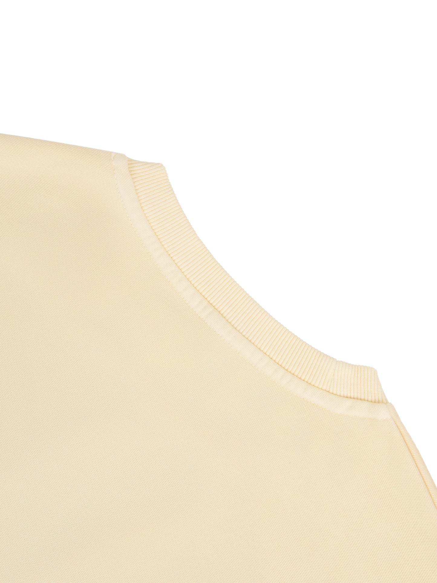 Broken halo Vintage Washed Cropped Sweatshirt